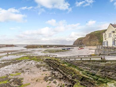 The Curious Crab - Staithes (OC-88118)