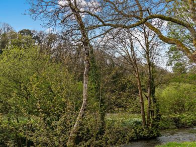 Riverside Retreat - Pembrokeshire (OC-94717)