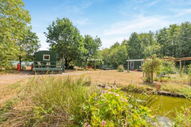 Squirrels Oak - Shepherds Hut 1 (OC-S45859) Squirrels Oak - Shepherds Hut 1 (OC-S45859)