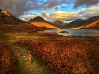 Scaw Fell Cottage - Wasdale (OC-TCSZ436)