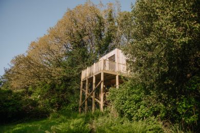 Lion Treehouse (OC-S45241)