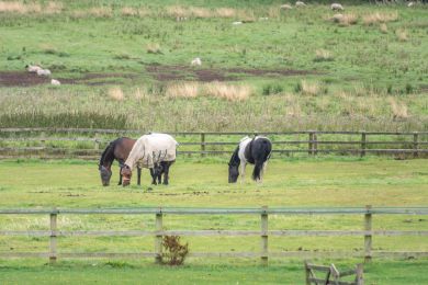 Willerby Grange Farm (OC-W29935)