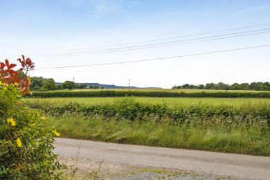 Little Showell (OC-L44942) Little Showell (OC-L44942)