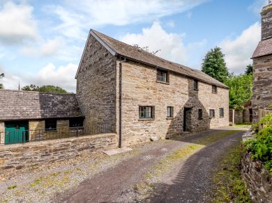 Blaenffawydden Coch (OC-79046) Blaenffawydden Coch (OC-79046)