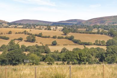The Shepherds Hut Retreat (OC-S45733) The Shepherds Hut Retreat (OC-S45733)