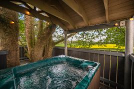The Treehouse