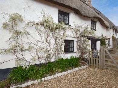 Rock Cottage - Salcombe (OC-75138) Rock Cottage - Salcombe (OC-75138)