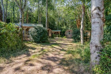 Fern Wood Hideaway (OC-F32639)