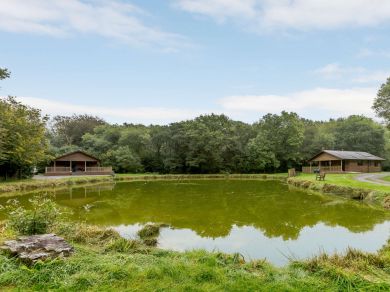 Waldon Valley Lodges - Beech (OC-85562) Waldon Valley Lodges - Beech (OC-85562)