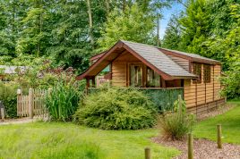 Cedar Tree Lodge
