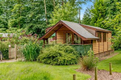 Cedar Tree Lodge (OC-C29549)