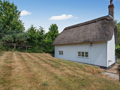 Wood's Thatch (OC-THATC)
