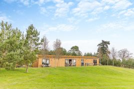 Pinelands at Bryn Tanat
