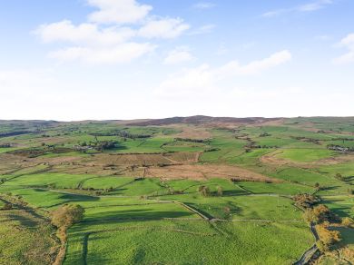 Cefn Hir Minapiap (OC-C45945)