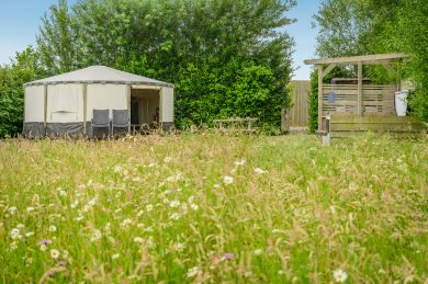 The Yurt Tent 4 (OC-Y44814) The Yurt Tent 4 (OC-Y44814)